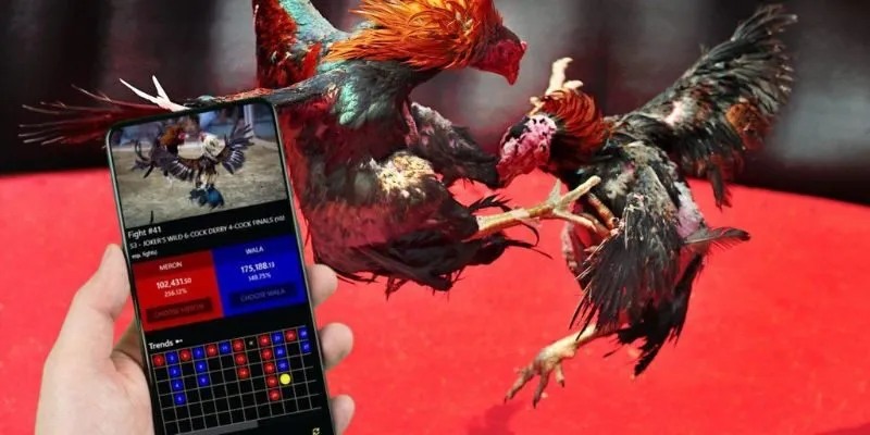 Tổng quan về danh mục đá gà tại Bet168