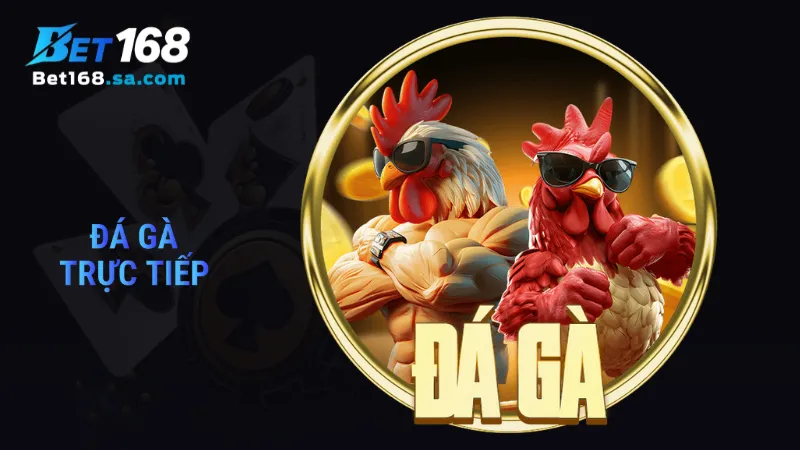 Đá gà trực tiếp